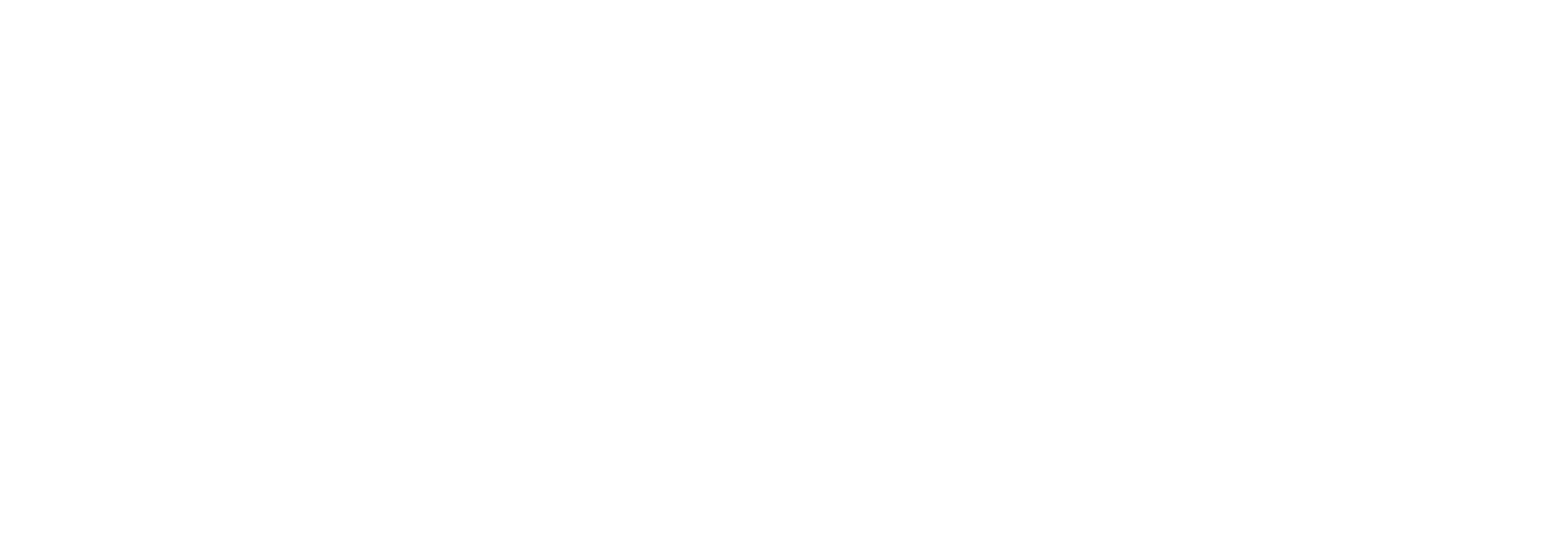 Transparent Logo